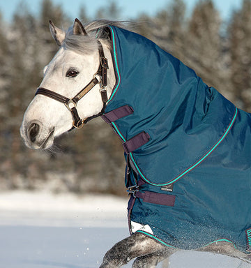 Horseware Ireland Rhino Turnout Hood- Medium Lite (150g)